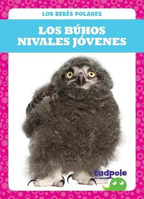 Book cover for Los Buhos Nivales Jovenes (Snowy Owlets)