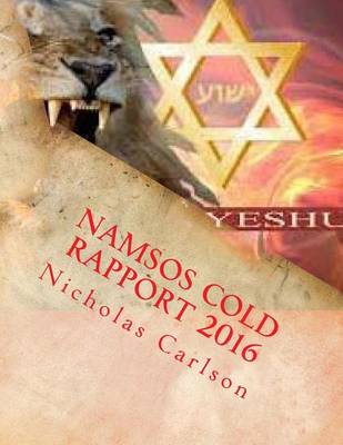 Book cover for Namsos Cold Rapport 2016