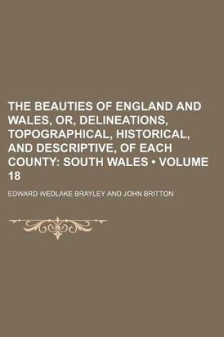 Cover of The Beauties of England and Wales, Or, Delineations, Topographical, Historical, and Descriptive, of Each County (Volume 18); South Wales