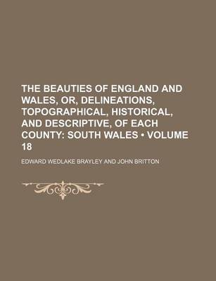 Book cover for The Beauties of England and Wales, Or, Delineations, Topographical, Historical, and Descriptive, of Each County (Volume 18); South Wales