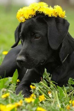 Cover of Black Labrador Retriever Wearing a Crown of Yellow Dandelions Journal