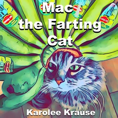 Book cover for Mac the Farting Cat