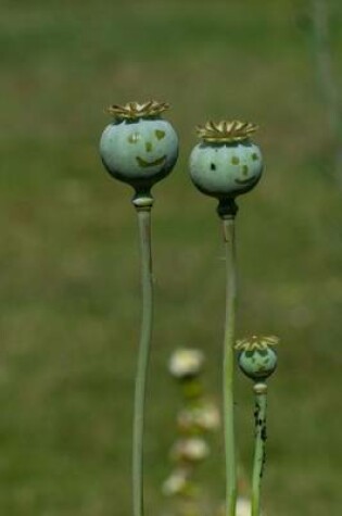 Cover of Smiley Faced Poppy Buds