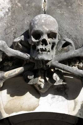 Book cover for Skull and Crossbones on a Tomb in a Cemetery