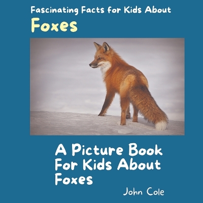 Book cover for A Picture Book for Kids About Foxes