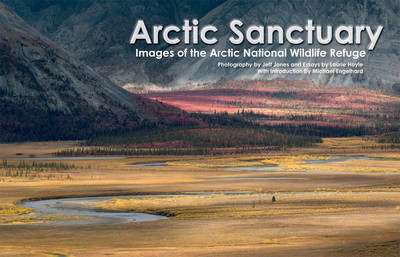 Book cover for Arctic Sanctuary