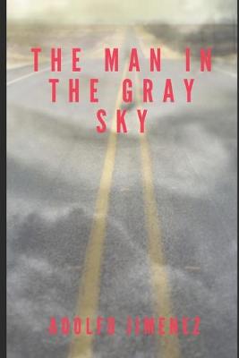 Book cover for The Man In The Gray Sky