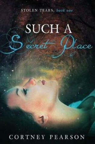 Cover of Such a Secret Place
