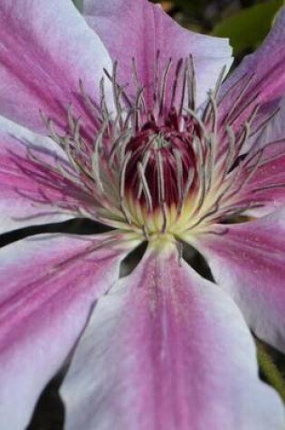 Cover of Clematis Close-Up, for the Love of Flowers