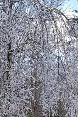 Cover of Winter Journal Scenic Forest Ice Storm