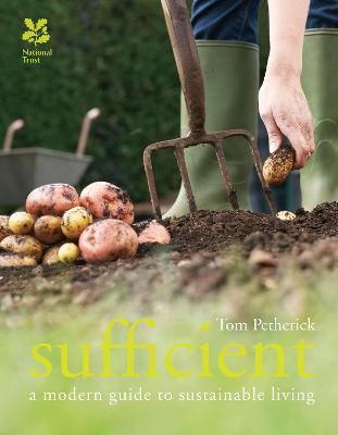 Book cover for Sufficient (NT)