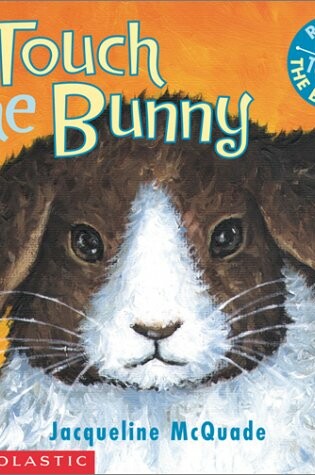 Cover of Touch the Bunny