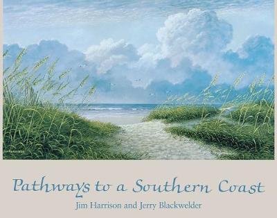 Book cover for Pathways to a Southern Coast