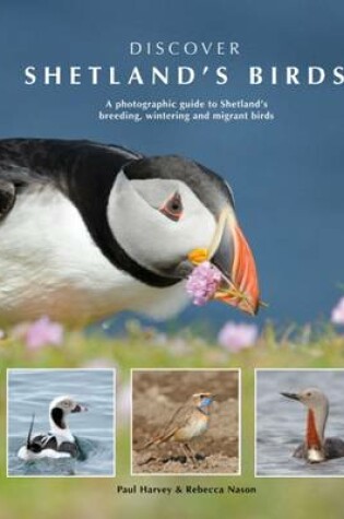 Cover of Discover Shetland's Birds