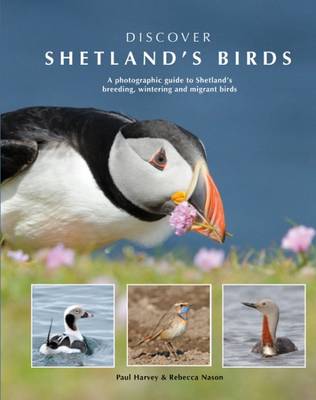 Book cover for Discover Shetland's Birds