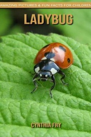 Cover of Ladybug