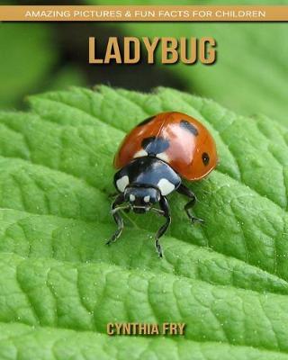 Book cover for Ladybug