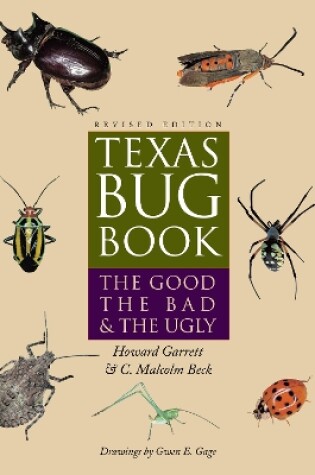 Cover of Texas Bug Book