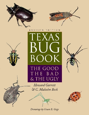 Book cover for Texas Bug Book