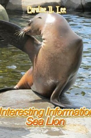 Cover of Interesting Information Sea Lion