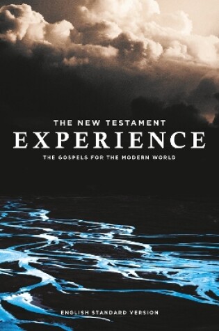 Cover of The New Testament Experience