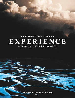 Book cover for The New Testament Experience