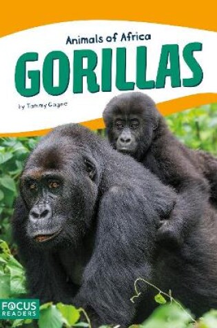 Cover of Animals of Africa: Gorillas