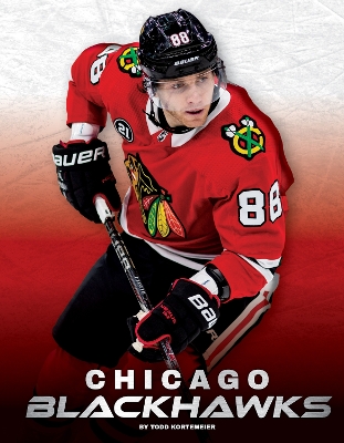 Book cover for Chicago Blackhawks