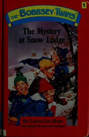 Book cover for At Snow Lodge