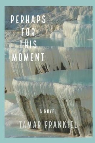 Cover of Perhaps for This Moment