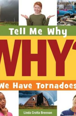 Cover of We Have Tornadoes