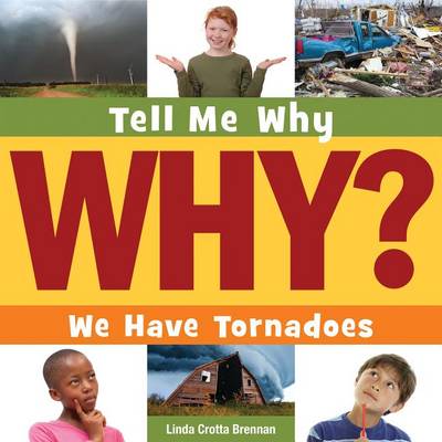 Book cover for We Have Tornadoes