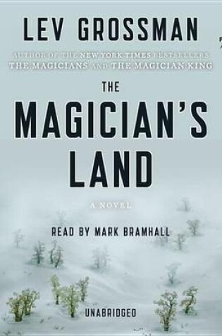 Cover of The Magician's Land