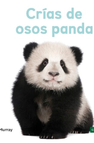 Cover of Crías de osos panda (Panda Cubs)