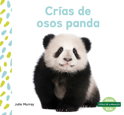 Book cover for Crías de osos panda (Panda Cubs)