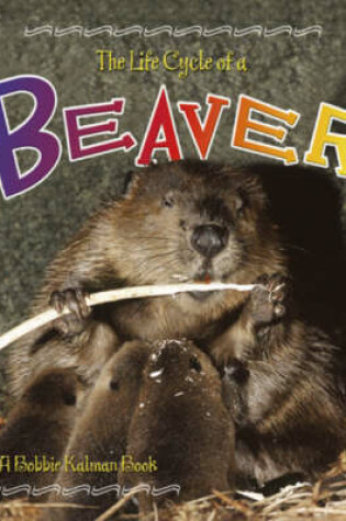 Cover of The Life Cycle of the Beaver