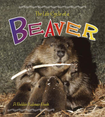 Book cover for The Life Cycle of the Beaver