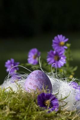 Book cover for Purple Flowers and an Easter Egg in the Grass