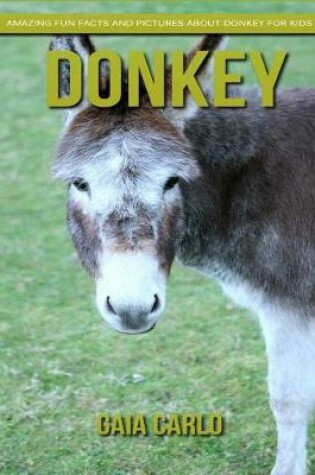 Cover of Donkey