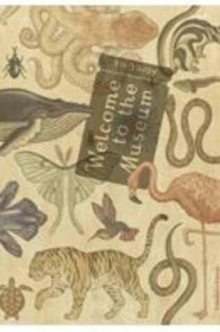 Cover of Animalium