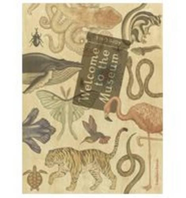 Book cover for Animalium