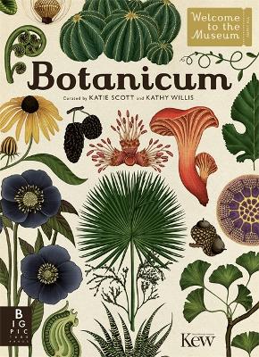 Book cover for Botanicum