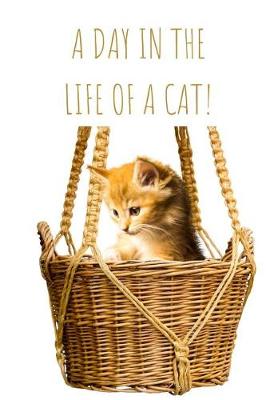 Book cover for A Day in the Life of a Cat