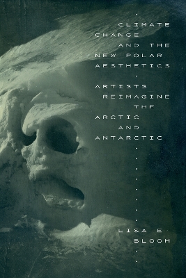 Book cover for Climate Change and the New Polar Aesthetics