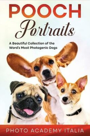 Cover of Playful Portraits