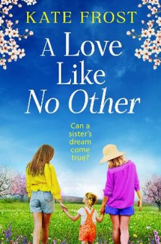 Cover of A Love Like No Other