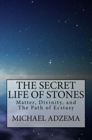 Cover of The Secret Life of Stones