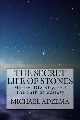 Book cover for The Secret Life of Stones