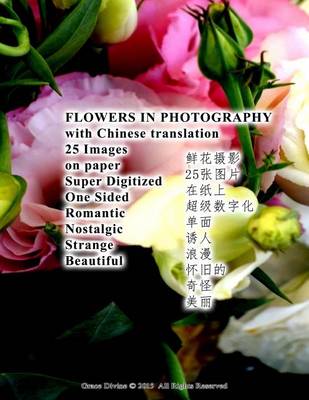 Book cover for Flowers in Photography with Chinese Translation 25 Images on Paper Super Digitized One Sided Romantic Nostalgic Strange Beautiful