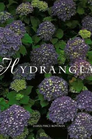 Cover of Hydrangeas